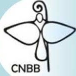 CNBB divulga nota sobre sistema carcerário do país