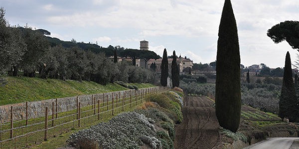 residencia_ferias_papa