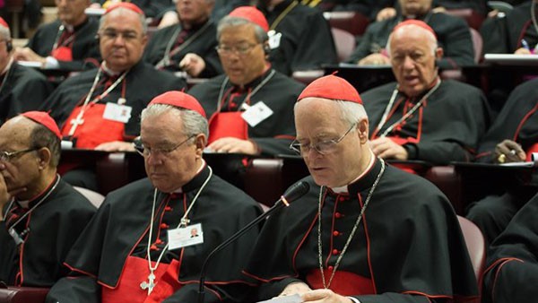 Cardeais reunidos durante o Sínodo/ Foto: L'Osservatore Romano