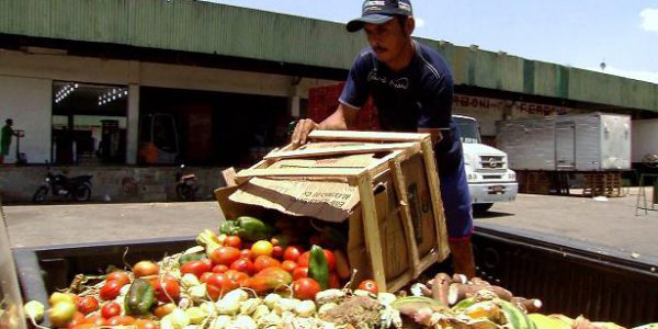 Desperdício de alimentos causa um prejuízo econômico estimado em US$ 940 bilhões por ano / Foto: Reprodução EBC