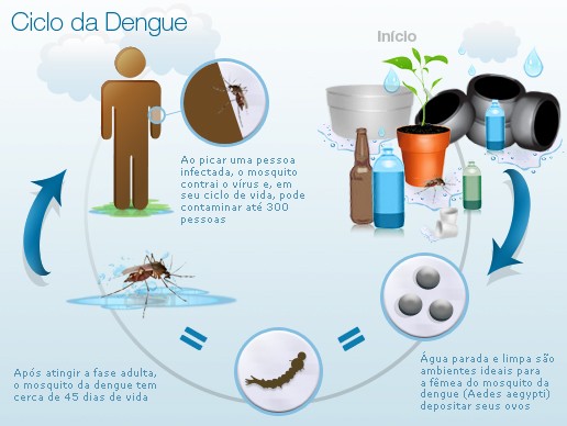 Ciclo da transmissão das doenças pelo mosquito Aedes Aegypti / Foto: MDS