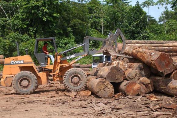 desmatamento - agencia brasil 