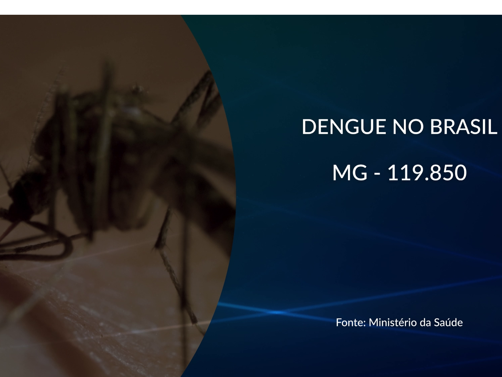 Minas Gerais Vive Uma Epidemia De Dengue E Chikungunya