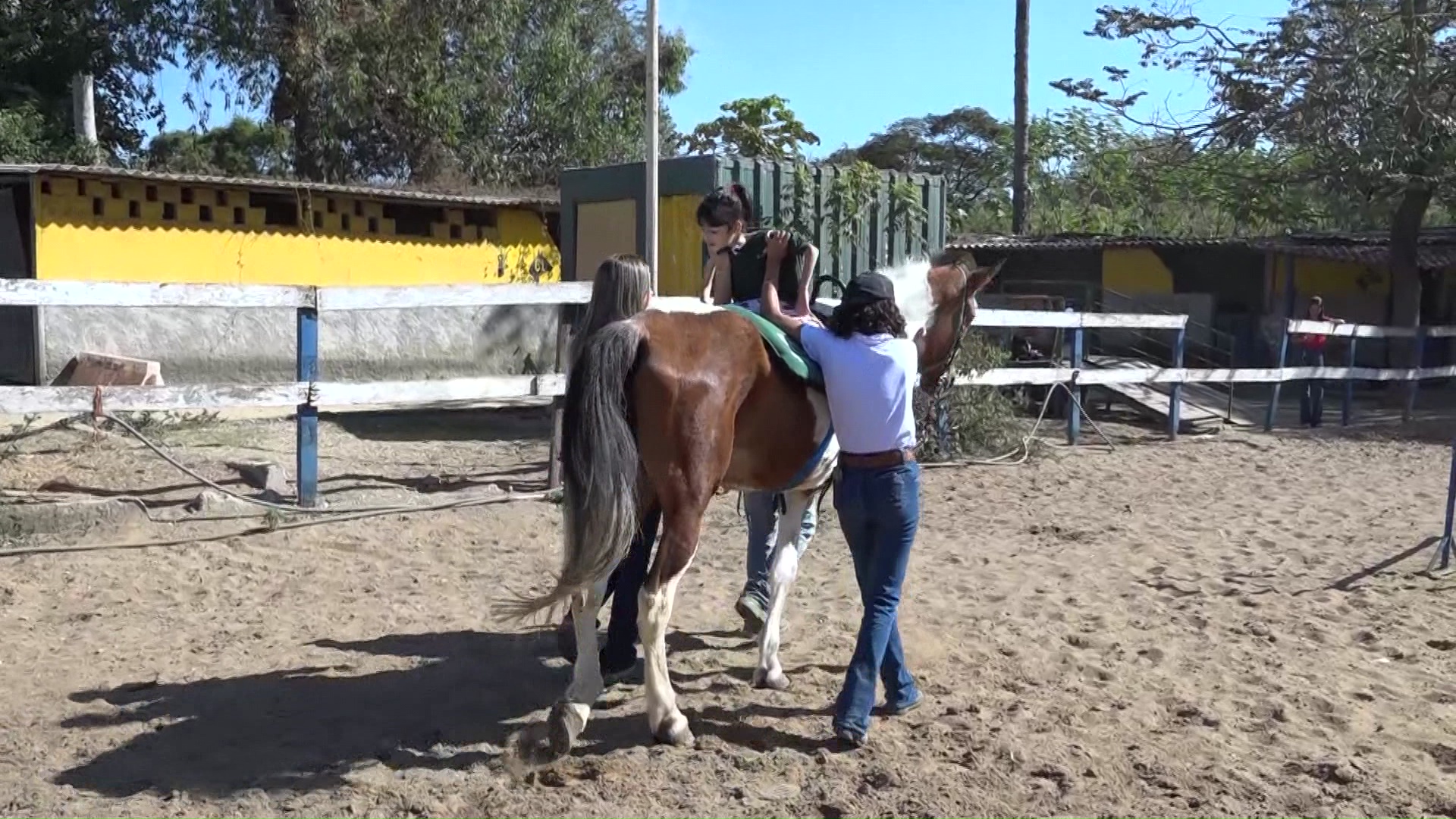 Centro De Equoterapia De BH Oferece Tratamento Gratuito