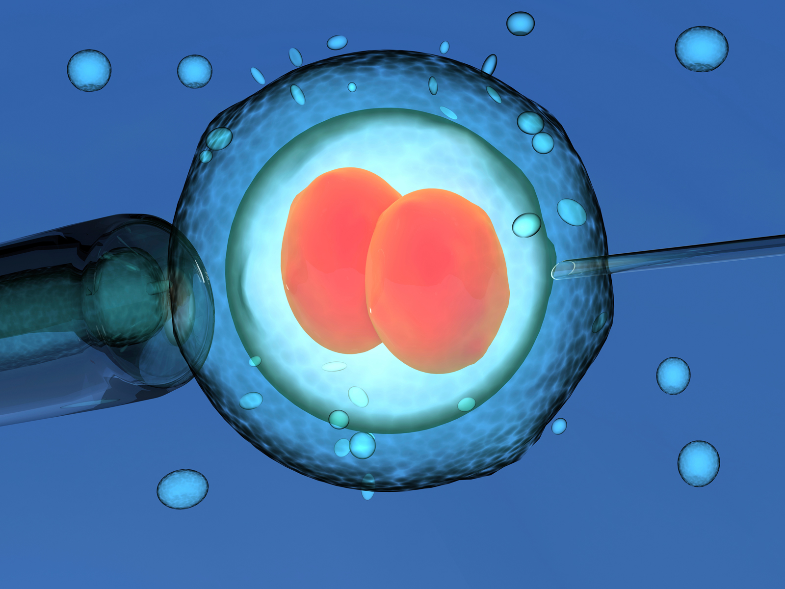 Alteração genética em embriões - 1600x1200