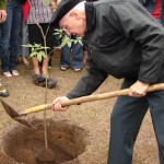Projeto Viver: Canção Nova planta 15 mudas de árvores