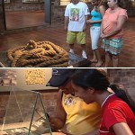 Pouco conhecido, Museu do Círio guarda história de muitos milagres