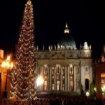 Árvore de Natal gigantesca chega ao Vaticano