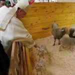 Pecuaristas e animais recebem benção no Vaticano