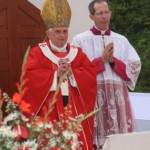 Bento XVI celebra Missa do Jubileu em Lourdes
