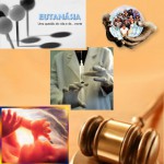 Dignidade humana: saiba mais sobre um tema que afeta sua vida