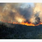 Incêndio florestal mata ao menos 40 em Israel