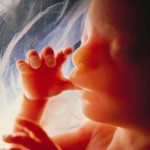 Governo inglês proíbe venda de remédio abortista