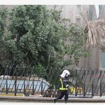 Basílica Sagrada Família de Bacelona é atingida por incêndio