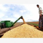 Brasil deve colher quase 160 milhões de tonela de grãos