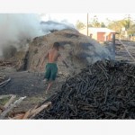 Mais de 100 milhões de crianças realizam trabalhos perigosos