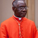 Cardeal Sarah leva solidariedade do Papa ao Líbano