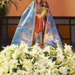 Imagem de Nossa Senhora da Penha peregrinará por regiões do RJ