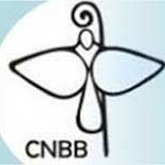 CNBB envia mensagem a bispo nomeado nesta quarta-feira