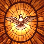 Pentecostes: Vem, Espírito da Vida, da Justiça e da Paz!