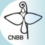 Em nota, CNBB saúda novo bispo coadjutor da Amazônia