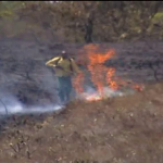 Em SP, focos de incêndio aumentam com tempo seco