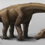 Dinossauro gigantesco é descoberto na Argentina