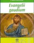 Curso online sobre Evangelii Gaudium começa em novembro