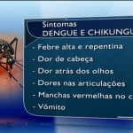 Com chuvas, dengue e chikungunya preocupam população