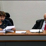 Comissão do Senado suspende votação do Estatuto das Famílias