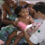 Animais ajudam no tratamento de crianças em hospital de SP