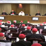 Papa e cardeais iniciam Consistório Extraordinário no Vaticano