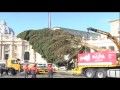 Árvore de natal já anuncia proximidade do Natal em Roma