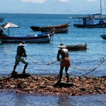 Cardeais Parolin e Vegliò na FAO no Dia Mundial da Pesca