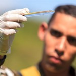 Zika: Ministério da Saúde distribui 3,5 milhões de testes