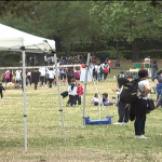 Evento em Roma celebra dia mundial da terra