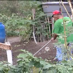 Agroecologia é utilizada por universitários em Lorena