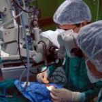 Taxa de doadores efetivos de órgãos aumenta no Brasil