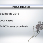 Brasil registra 174 mil casos por zika em 2015, segundo ministério