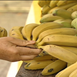 Preço da banana sobe 27% e consumidores buscam alternativas