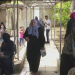 Refugiados Sírios procuram abrigo na Jordânia