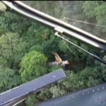 Avião cai em Santa Catarina
