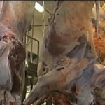 Presidente Michel Temer tenta minimizar escândalo da carne