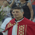 Veja o que fazer com os ramos abençoados na celebração que abre a Semana Santa