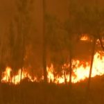 Concerto solidário destina recursos a vítimas de incêndio em Portugal