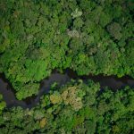 Justiça Federal suspende decreto que queria extinguir reserva amazônica