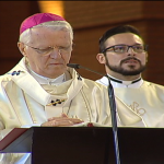 Arcebispo de Aparecida, Dom Orlando Brandes, recebe imposição do pálio durante celebração