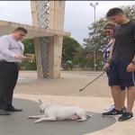 Igreja de São Francisco na Pampulha, em BH, comemora dia do padroeiro com bênção aos animais