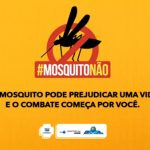 357 municípios do país apresentam risco para dengue, zika e chikungunya