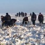 Painel congelado pode ter causado queda de avião russo